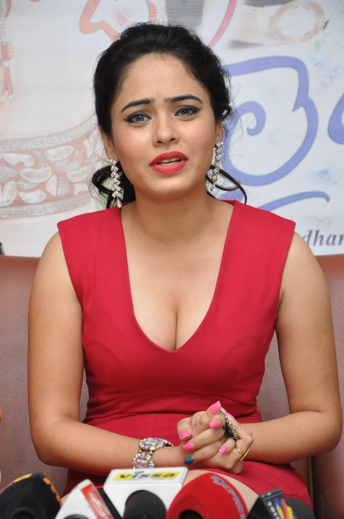 Laila O Laila Press Meet