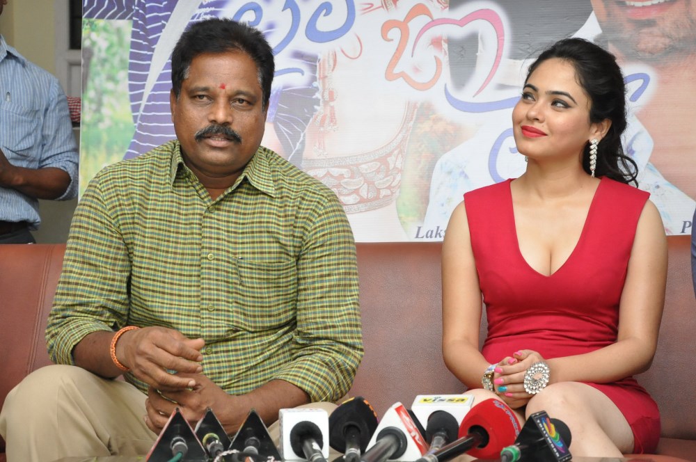 Laila O Laila Press Meet