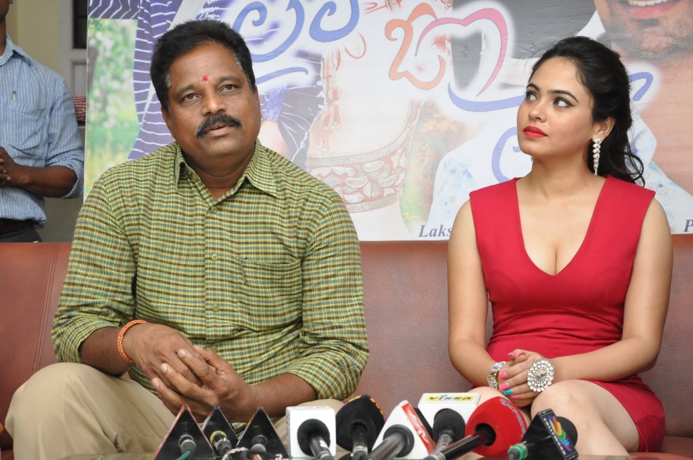 Laila O Laila Press Meet