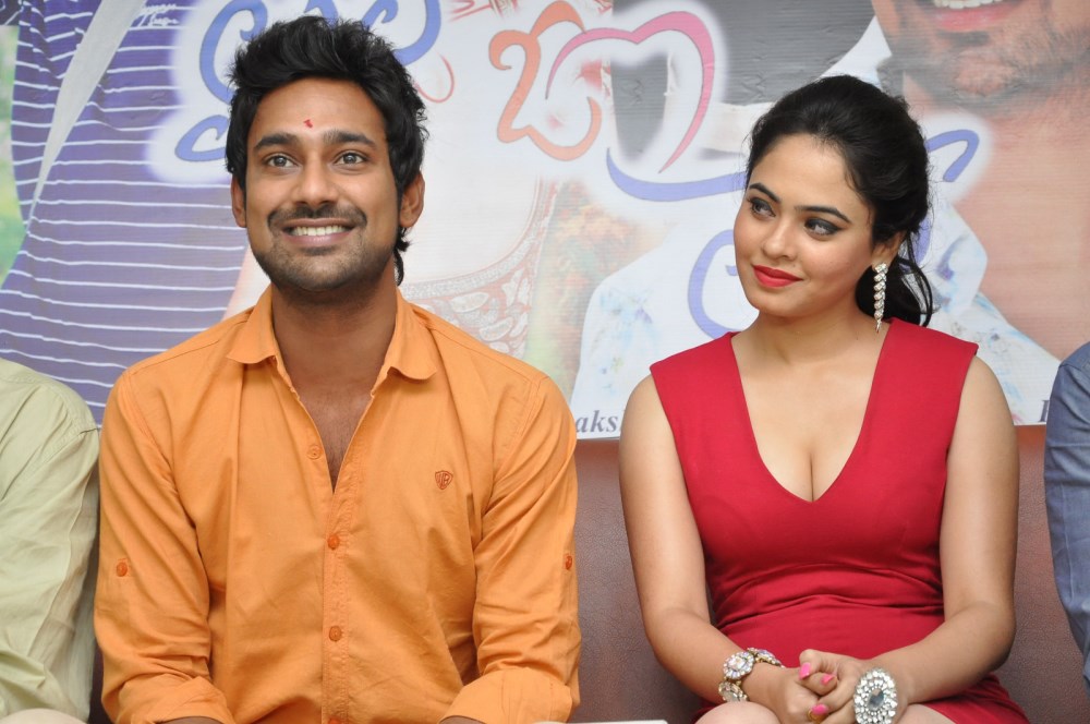 Laila O Laila Press Meet