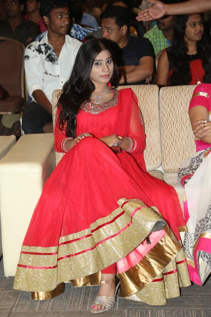 Lakshmi Raave Maa Intiki Audio Launch