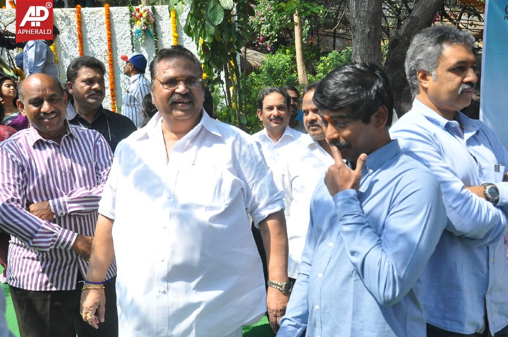 Lakshmi Raave Maa Intiki Movie Opening