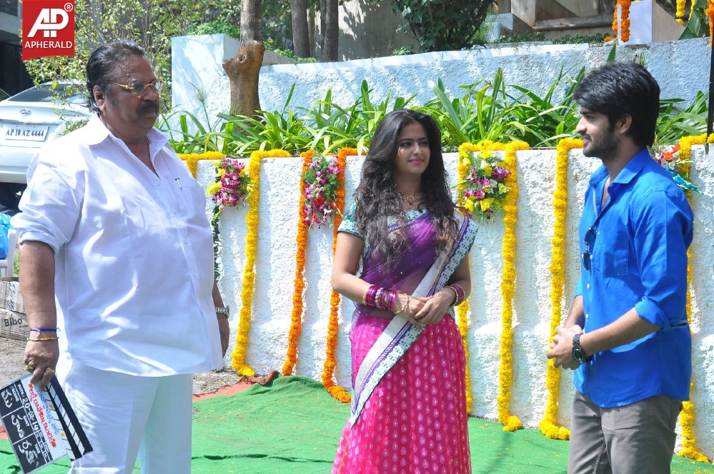 Lakshmi Raave Maa Intiki Movie Opening