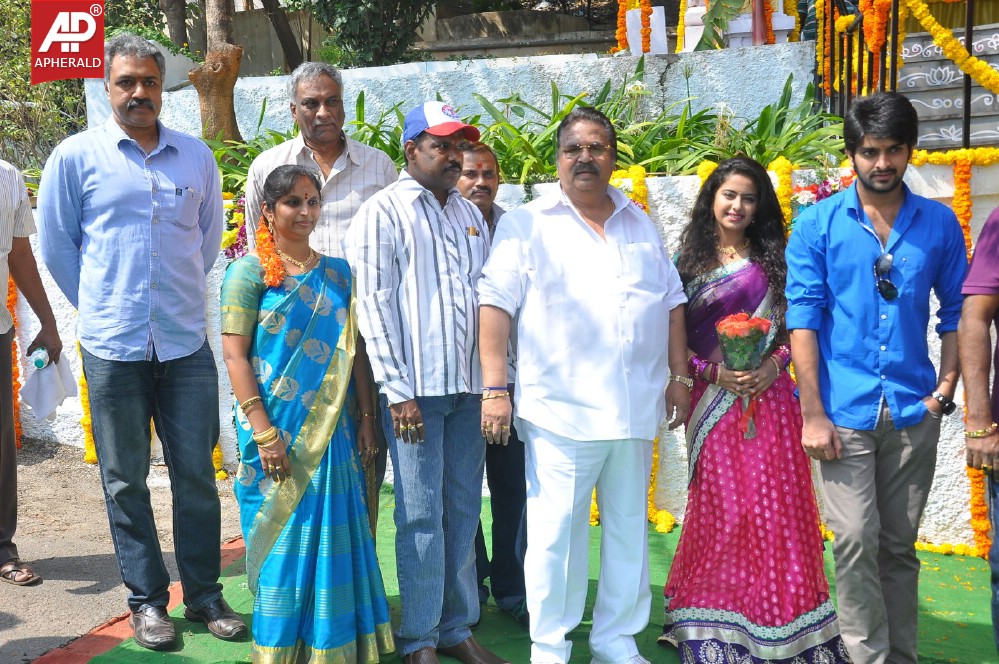 Lakshmi Raave Maa Intiki Movie Opening
