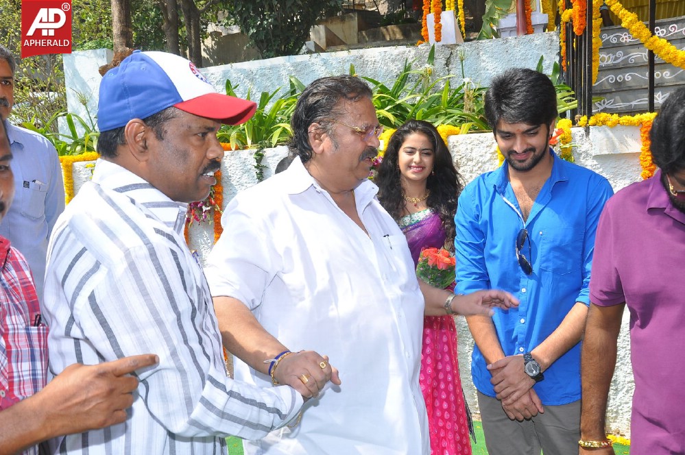 Lakshmi Raave Maa Intiki Movie Opening