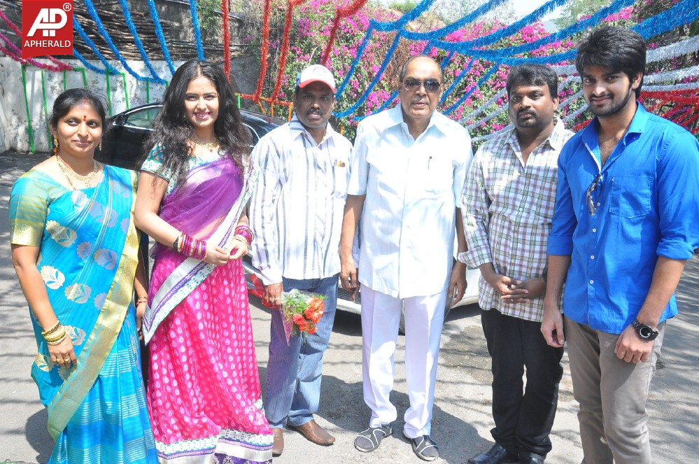 Lakshmi Raave Maa Intiki Movie Opening