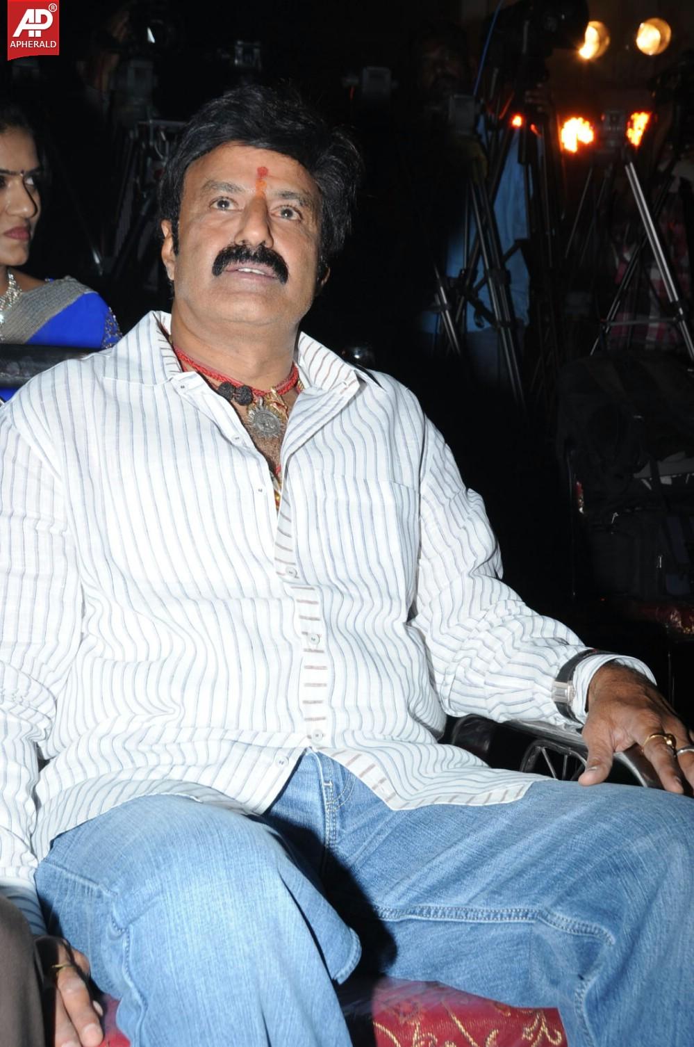 Legend Movie Success Meet 01