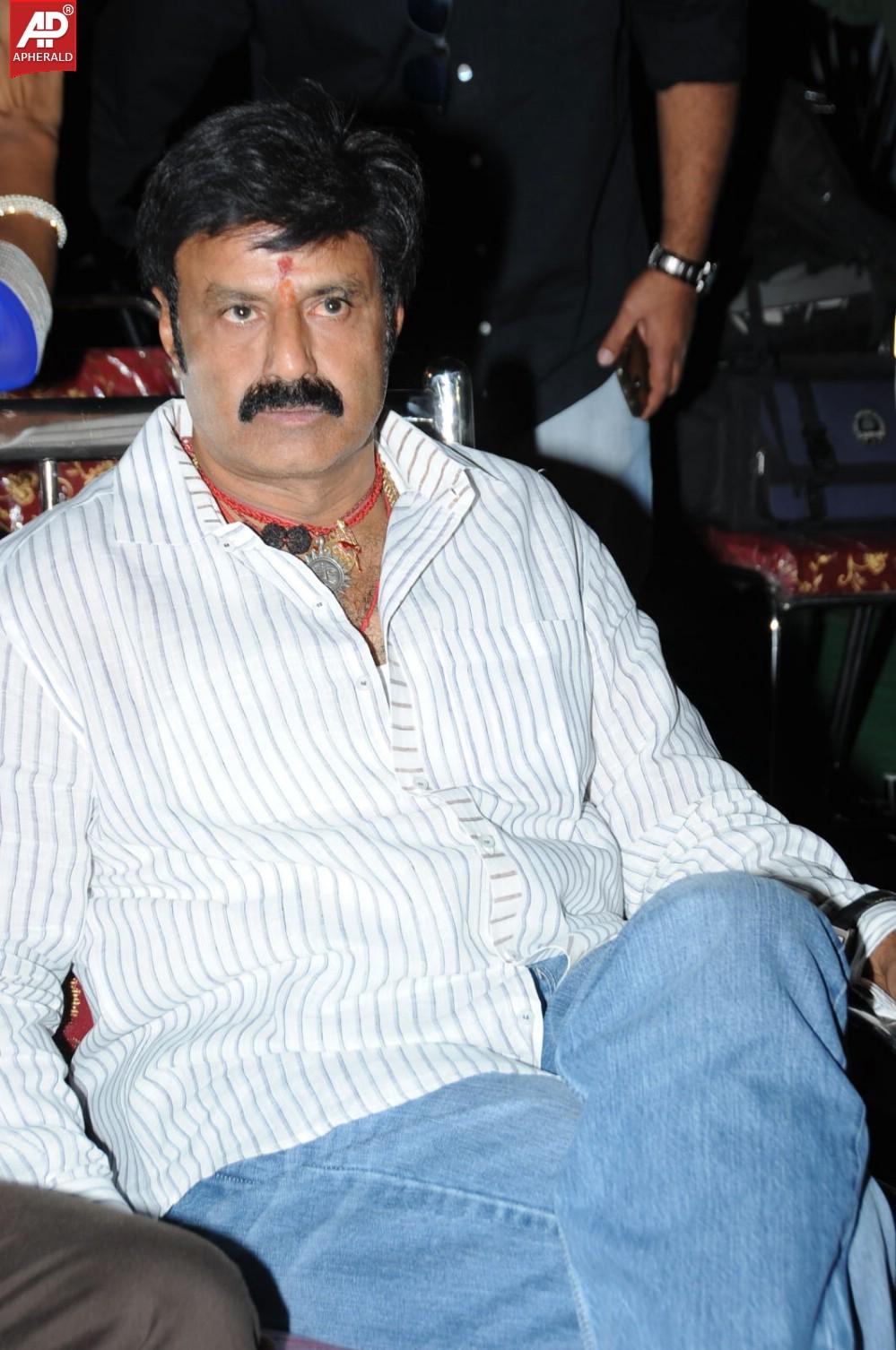 Legend Movie Success Meet 01