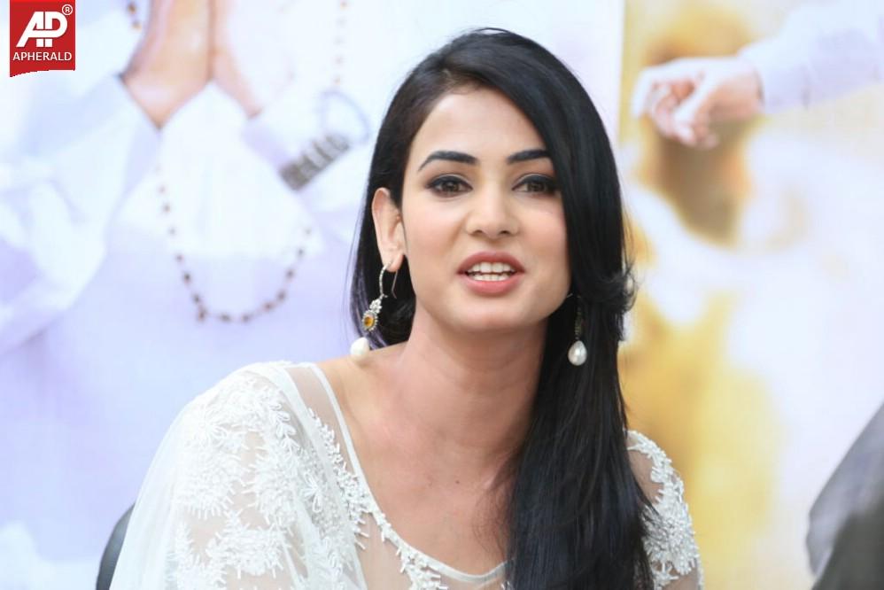 Legend Movie Success Meet