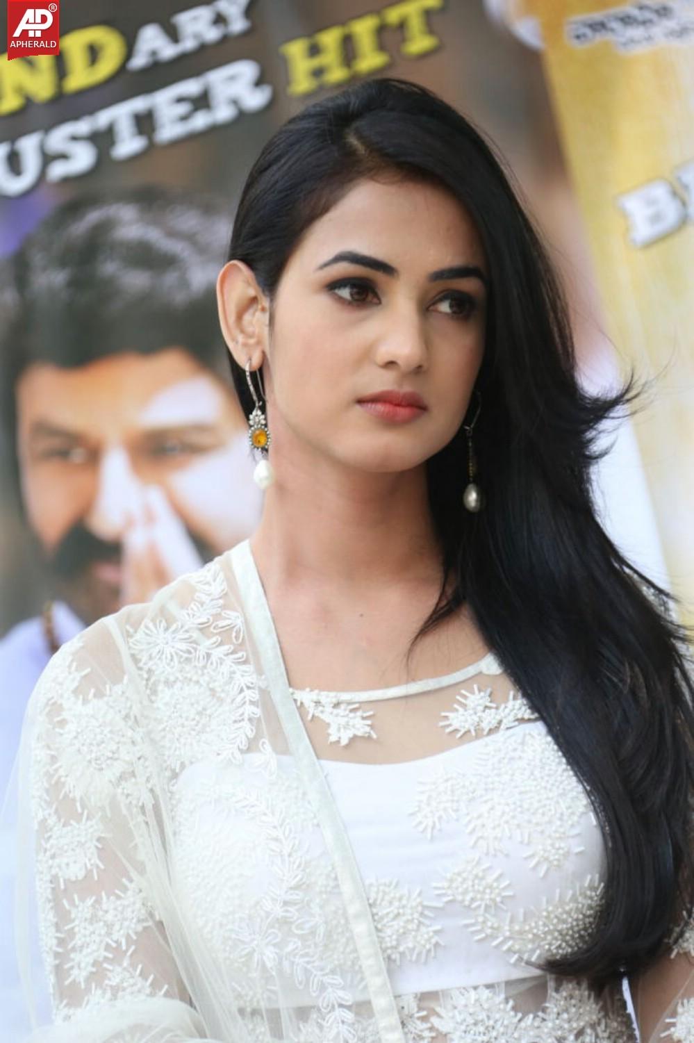 Legend Movie Success Meet