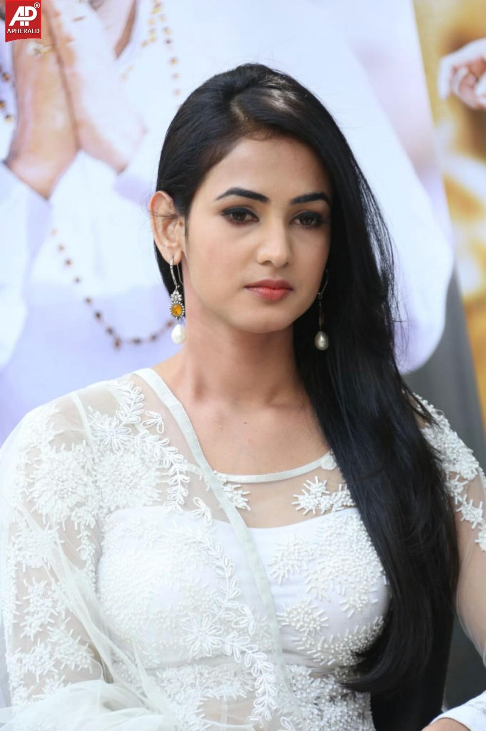 Legend Movie Success Meet