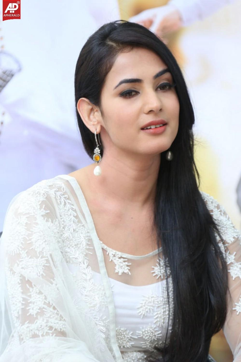 Legend Movie Success Meet