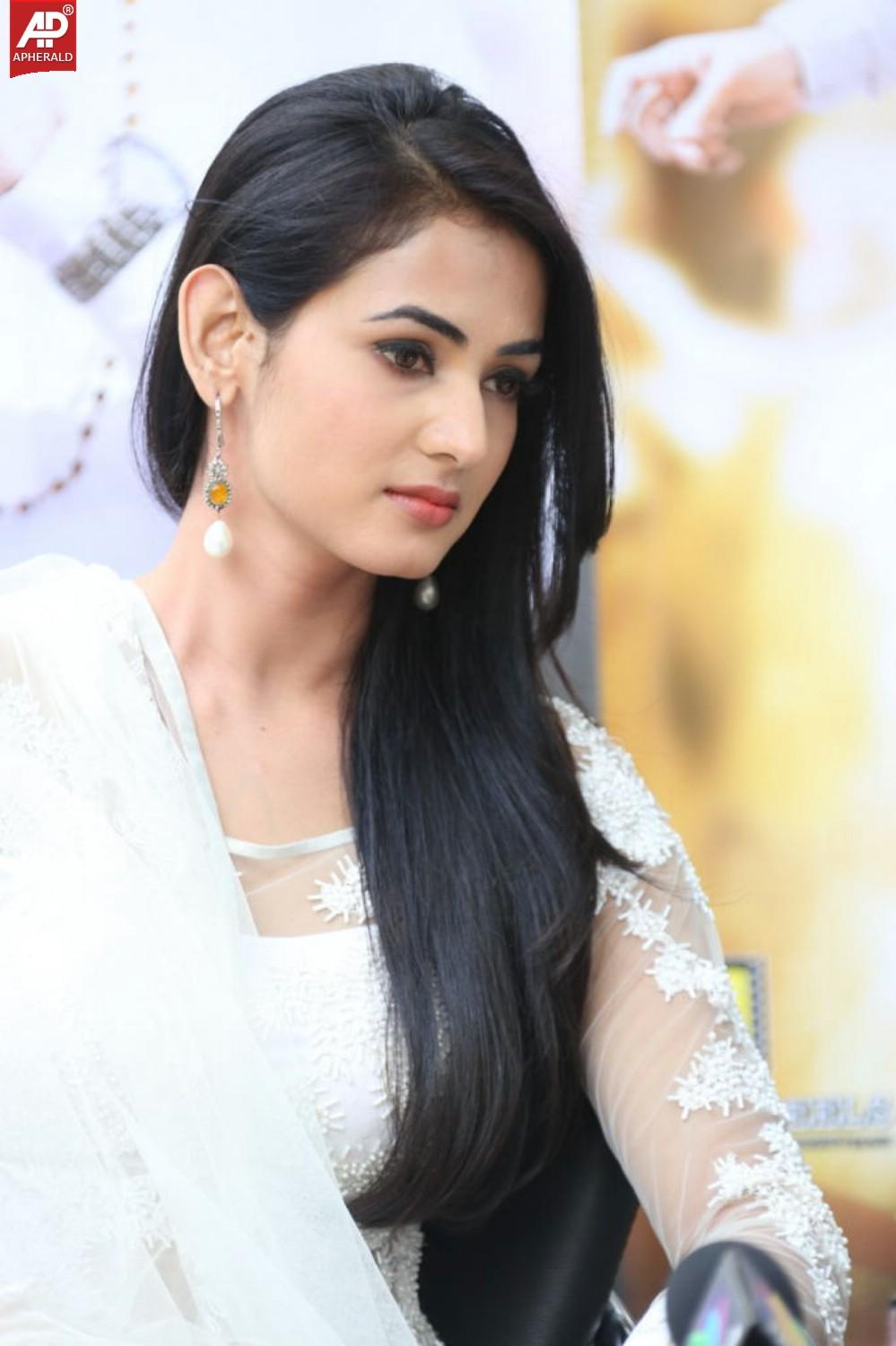 Legend Movie Success Meet