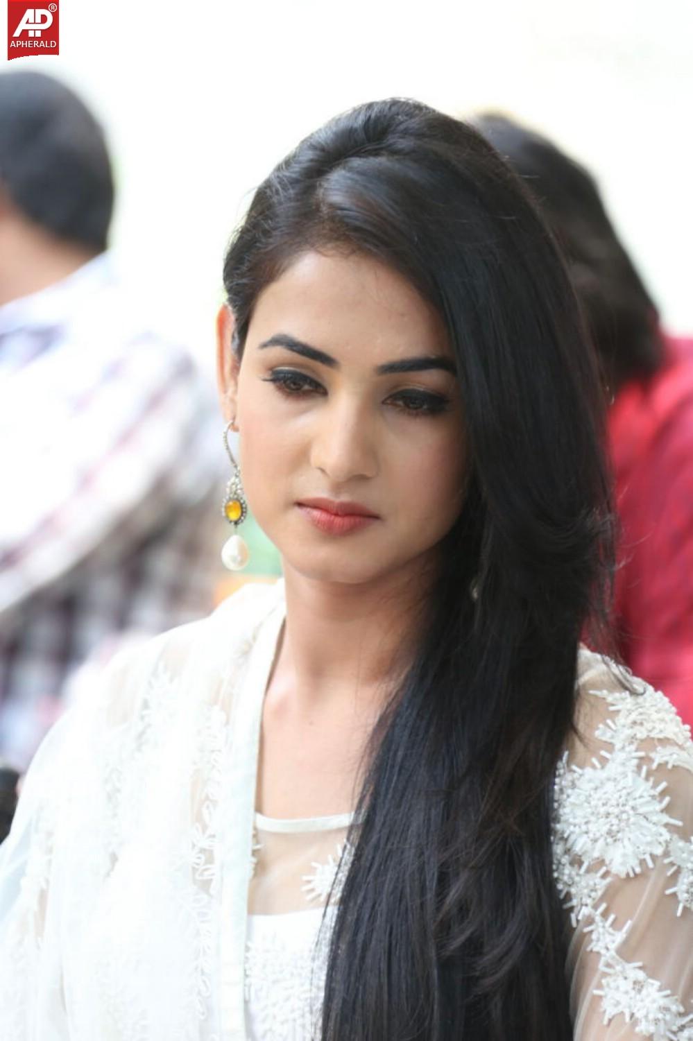 Legend Movie Success Meet