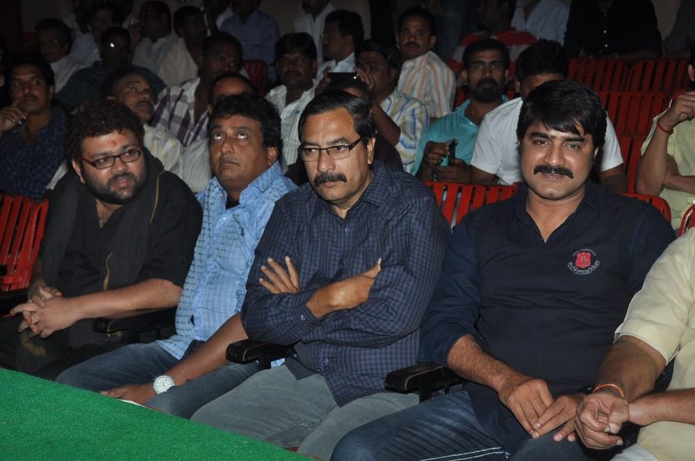 Loukyam 50 Days Function Stills