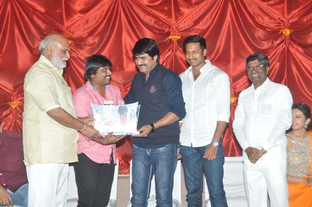 Loukyam 50 Days Function Stills