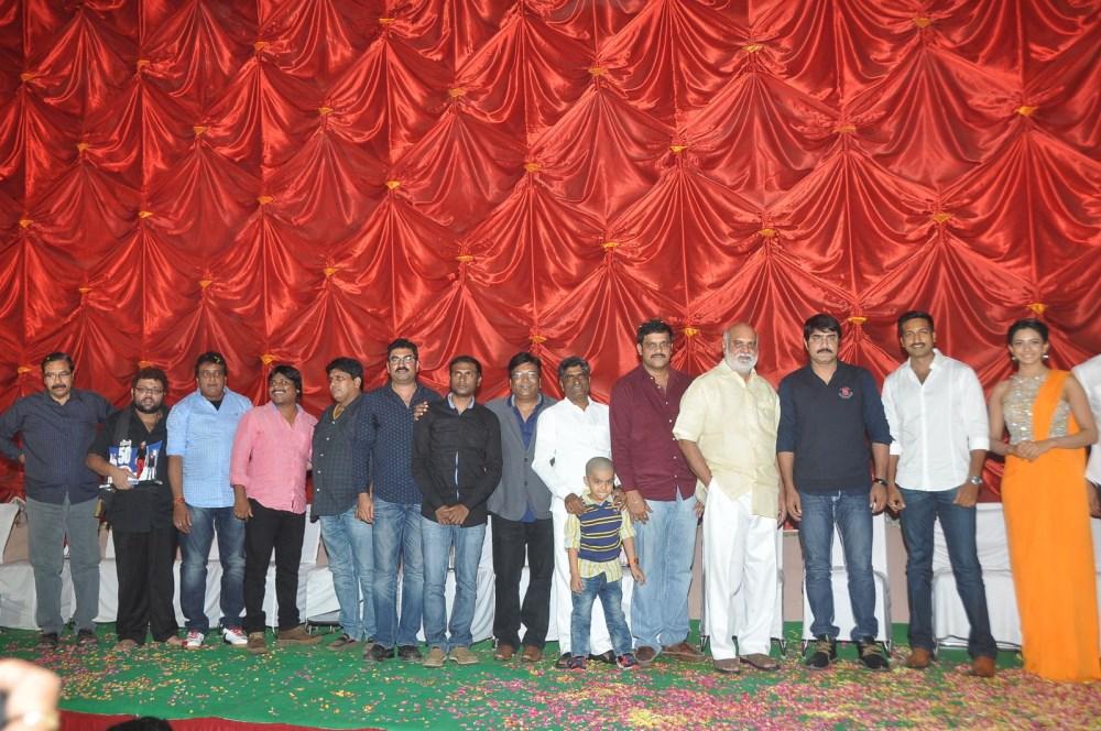 Loukyam 50 Days Function Stills