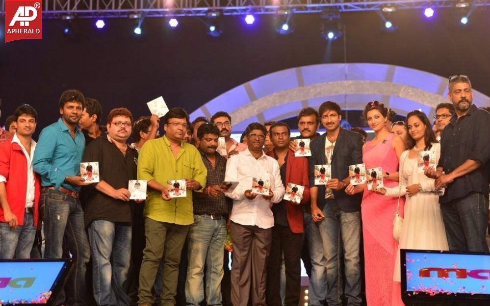 Loukyam Movie Audio Launch Photos