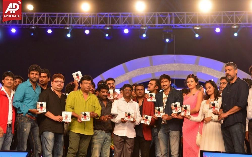 Loukyam Movie Audio Launch Photos