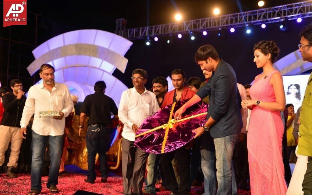 Loukyam Movie Audio Launch Photos