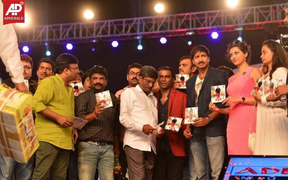 Loukyam Movie Audio Launch Photos