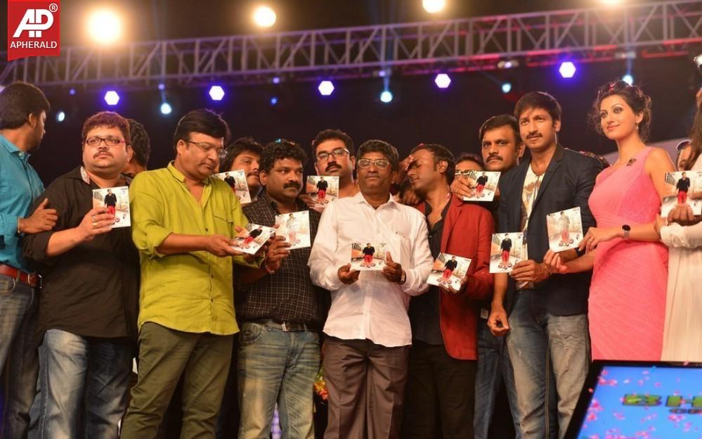 Loukyam Movie Audio Launch Photos