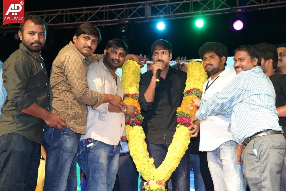 Loukyam Movie Vijayotsavam Event