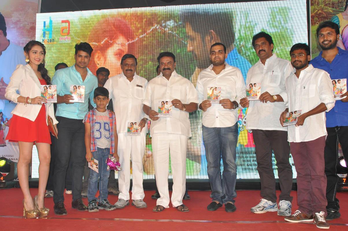 Love State Audio Launch