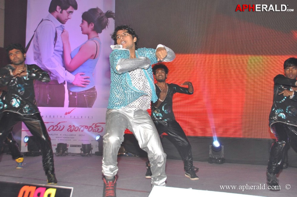 Love You Bangaram Audio Launch