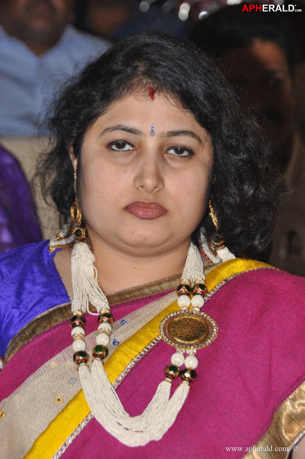 Love You Bangaram Audio Launch