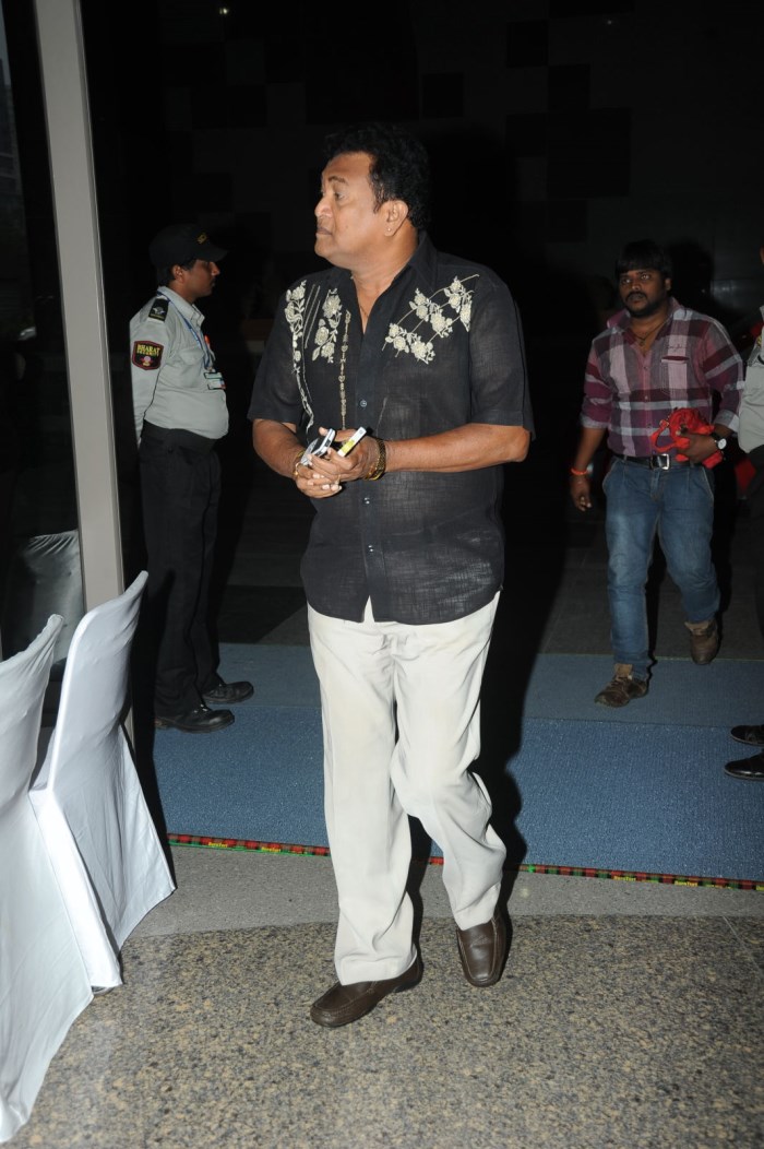 MAA Diary 2015 Launch