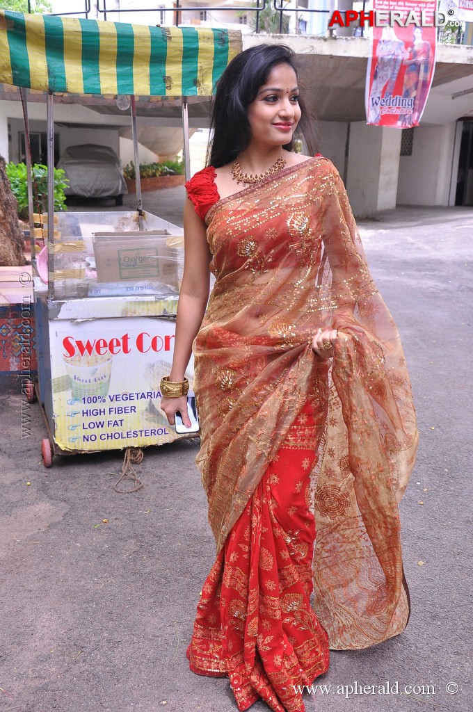 Madhavi Latha at National Silk Expo