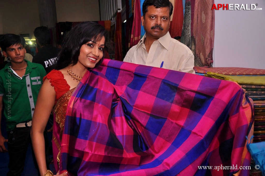 Madhavi Latha at National Silk Expo