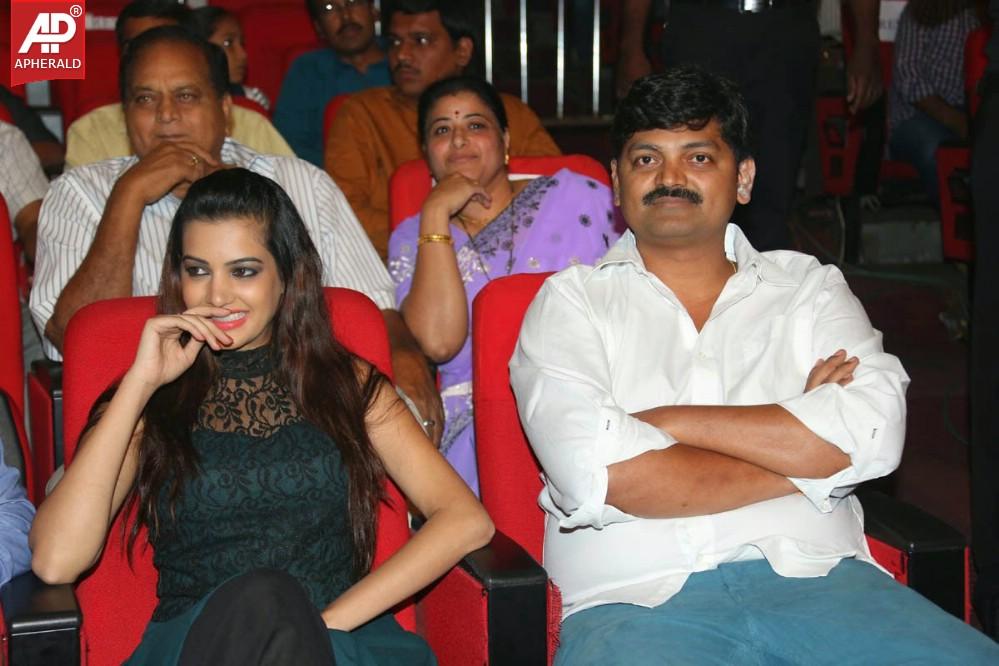 Manam Movie 100 Days Success Meet