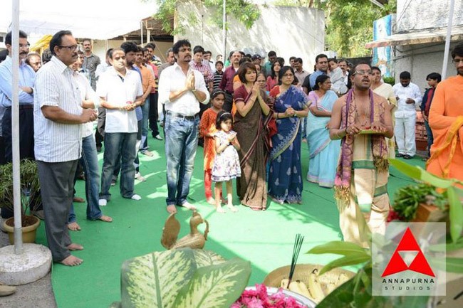 Manam Movie Opening Photos