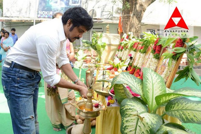 Manam Movie Opening Photos