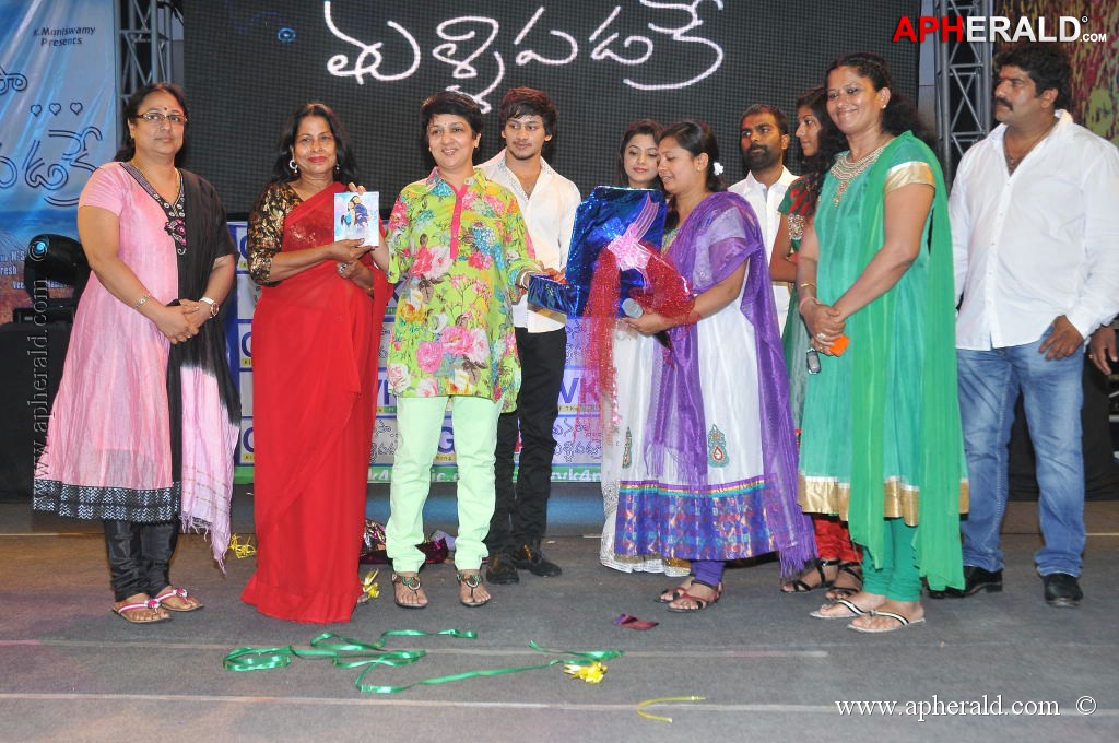 Manasa Tulli Padake Audio Launch