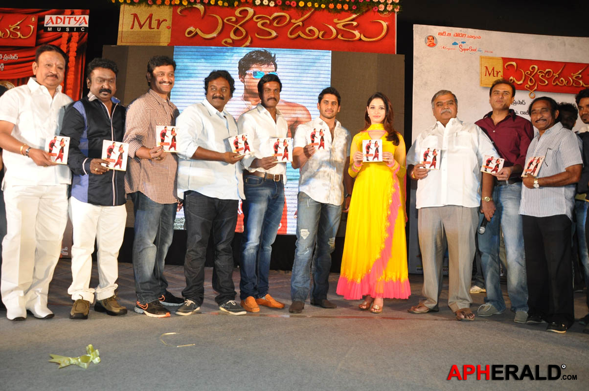 Mr.Pellikoduku Movie Audio Launch