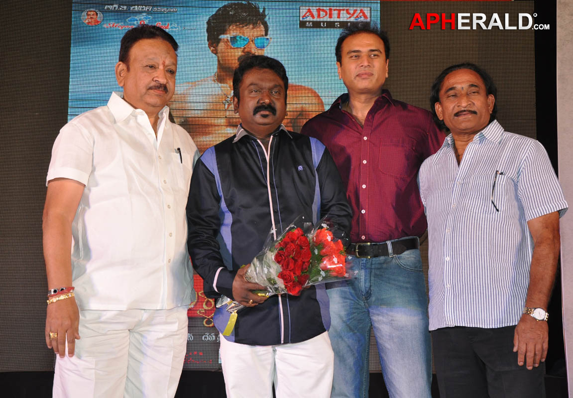 Mr.Pellikoduku Movie Audio Launch