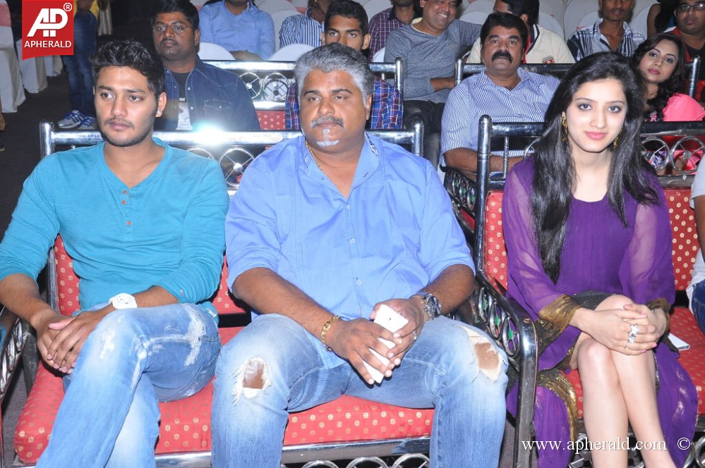 Naa Love Story Modalaindi Audio Launch