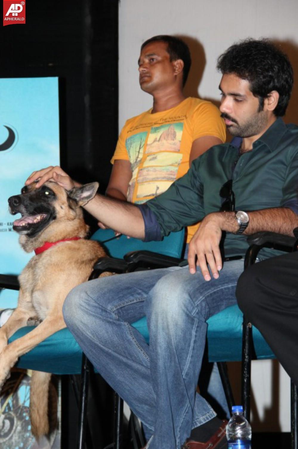 Naaigal Jaakirathai Movie Press Meet