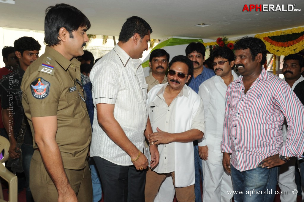 Naatu Kodi Movie Opening