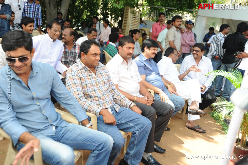 Naatu Kodi Movie Opening