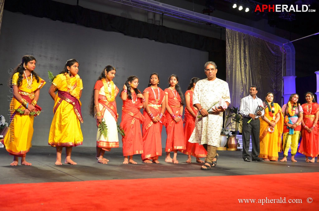 NATS 2013 Telugu Sambaralu- Day 3