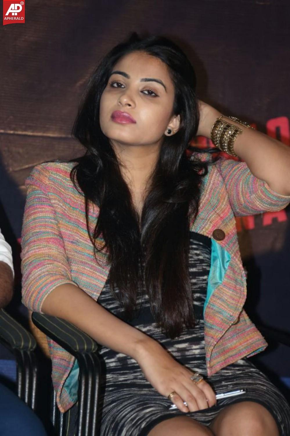 Natudu Movie Audio Launch