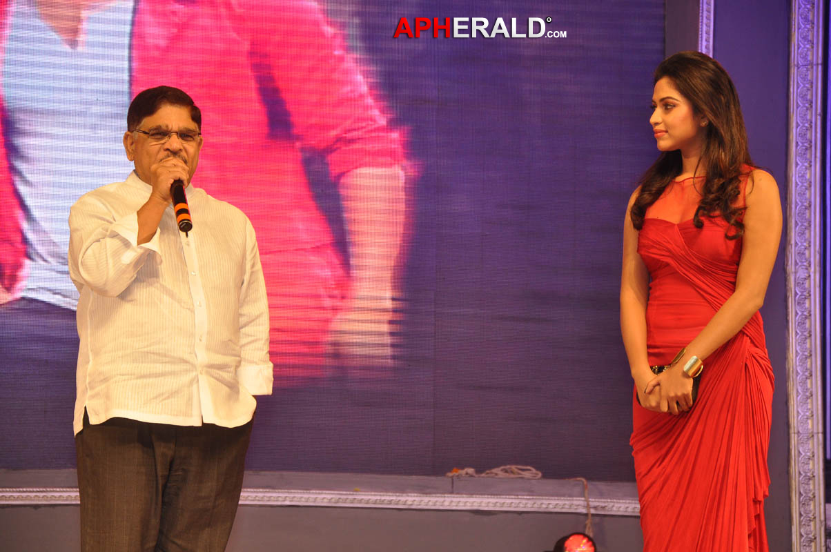 Nayak Movie Audio Release Part - II