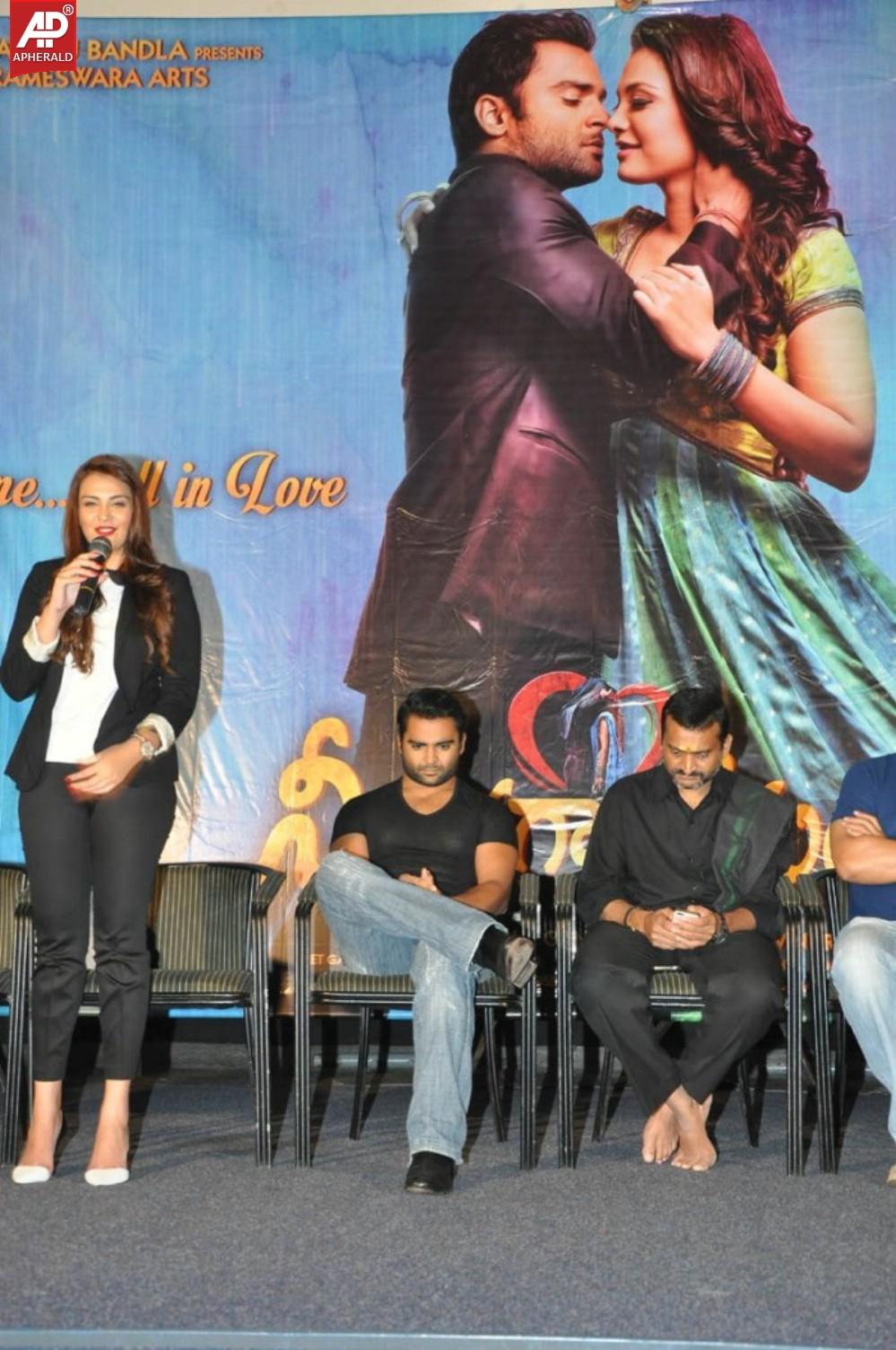 Nee Jathaga Nenundali Platinum Disc Function