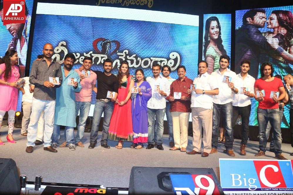 Neejathaga Nenundali Audio Launch Images