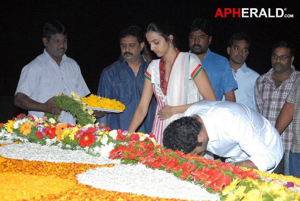 NTR 17th Vardhanthi