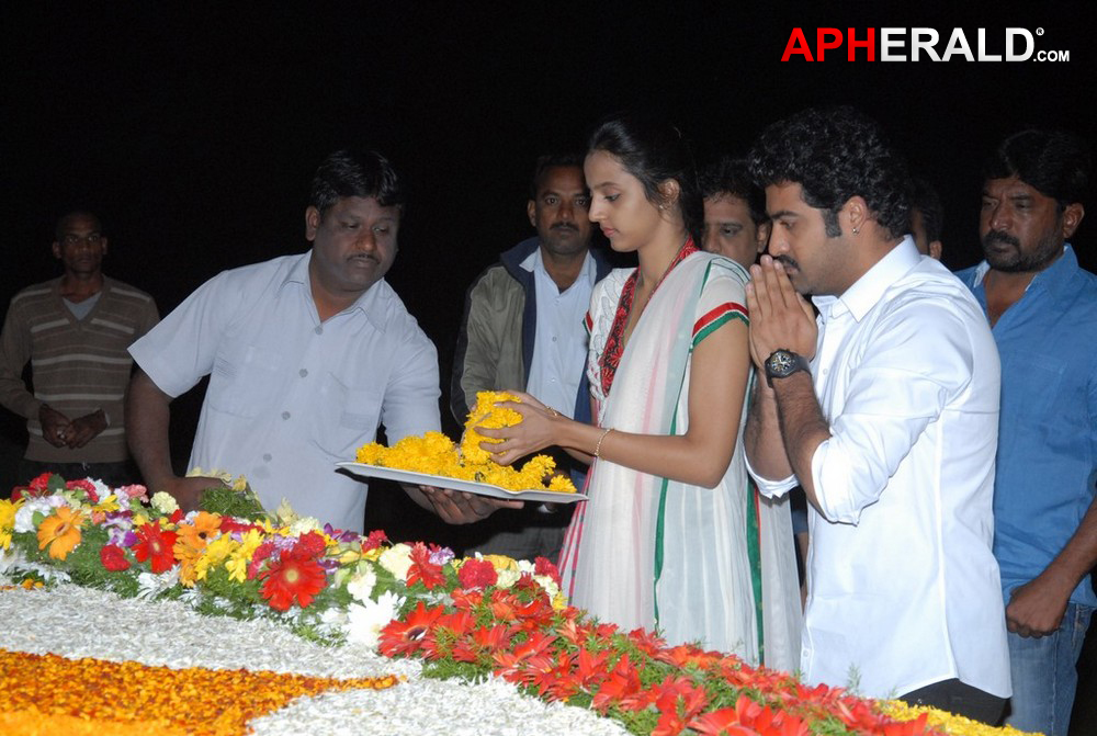 NTR 17th Vardhanthi